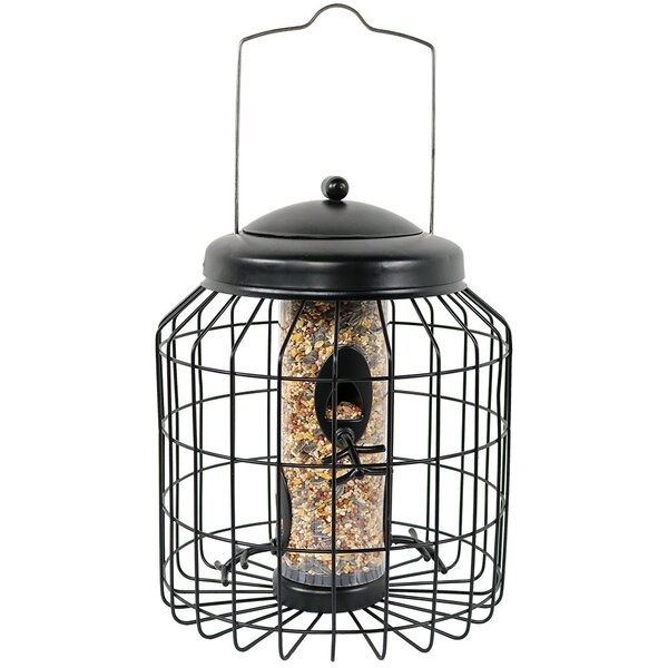 Bird Feeders You Ll Love In 2023 Wayfair Canada   Bird Feeders 